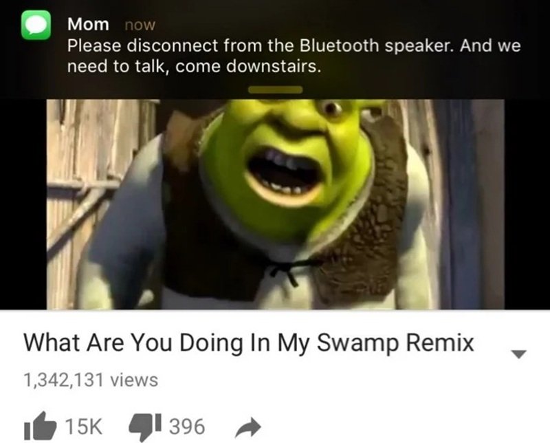 shrek meme 12
