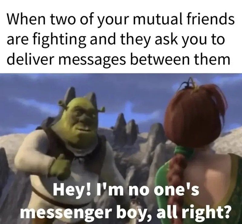 shrek meme 13