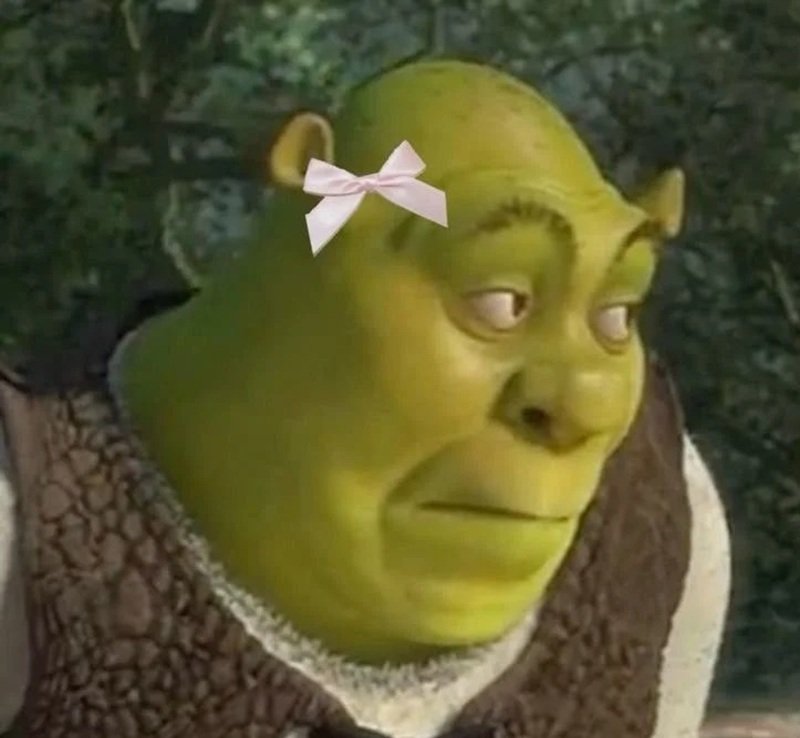 shrek meme 3