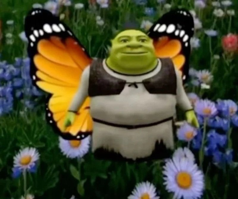 shrek meme 4