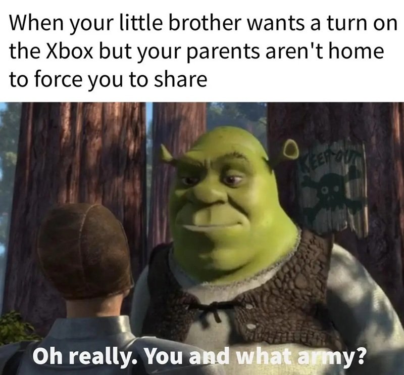 shrek meme 7