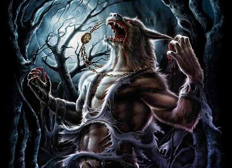 sói cô độc meme 14