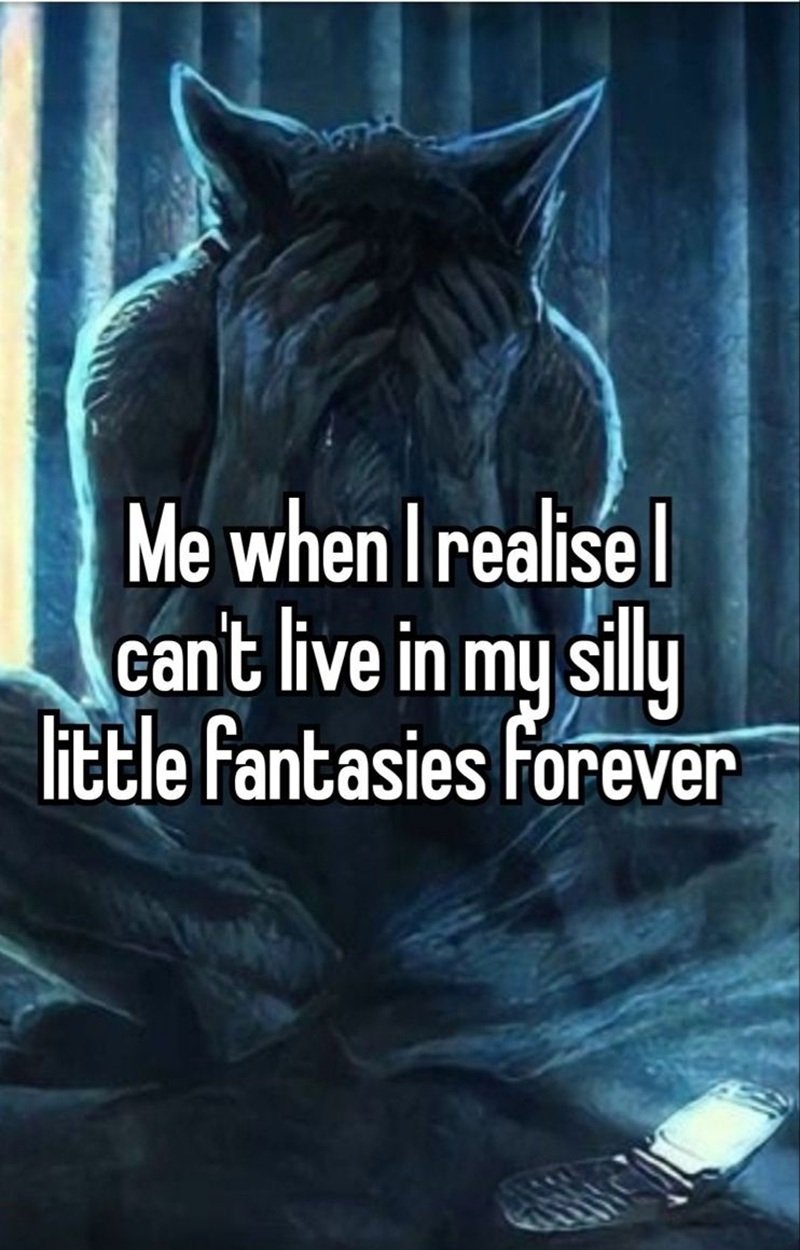 sói cô độc meme 15