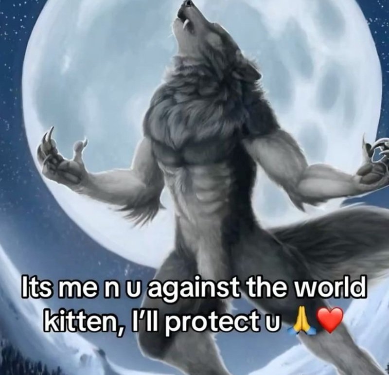 sói cô độc meme 16