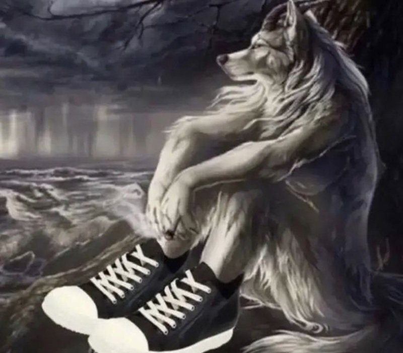 sói cô độc meme 17