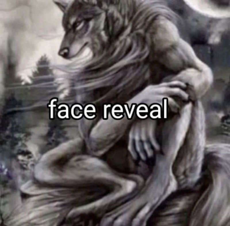 sói cô độc meme 18