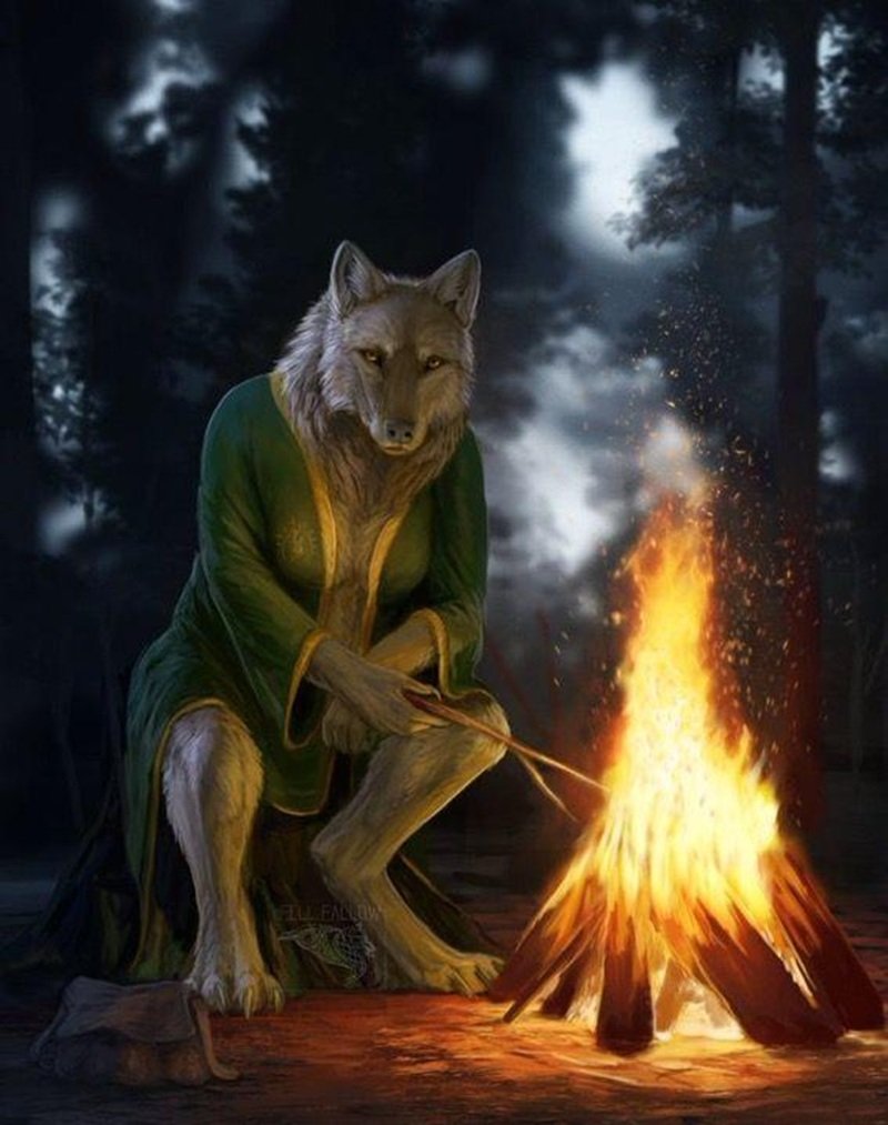 sói cô độc meme 2