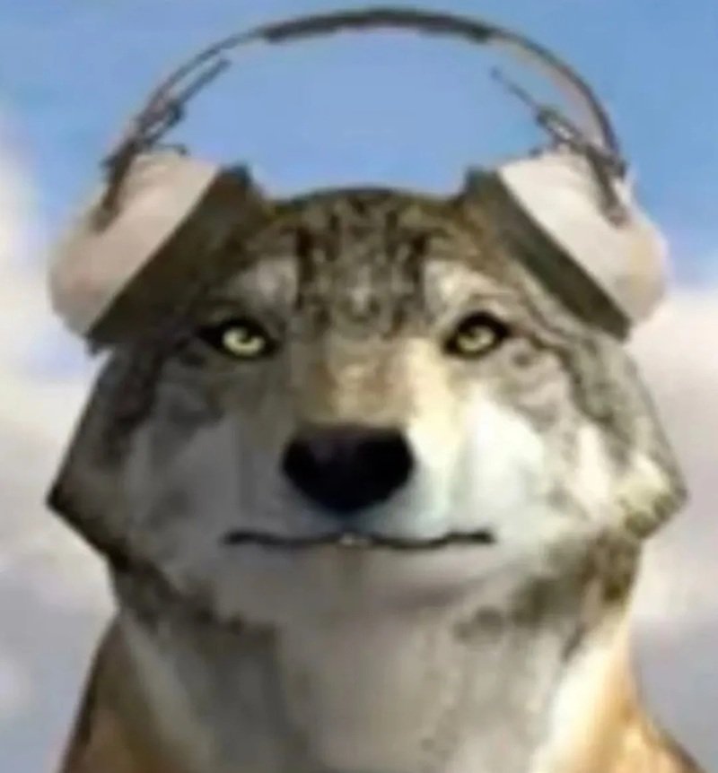 sói cô độc meme 24