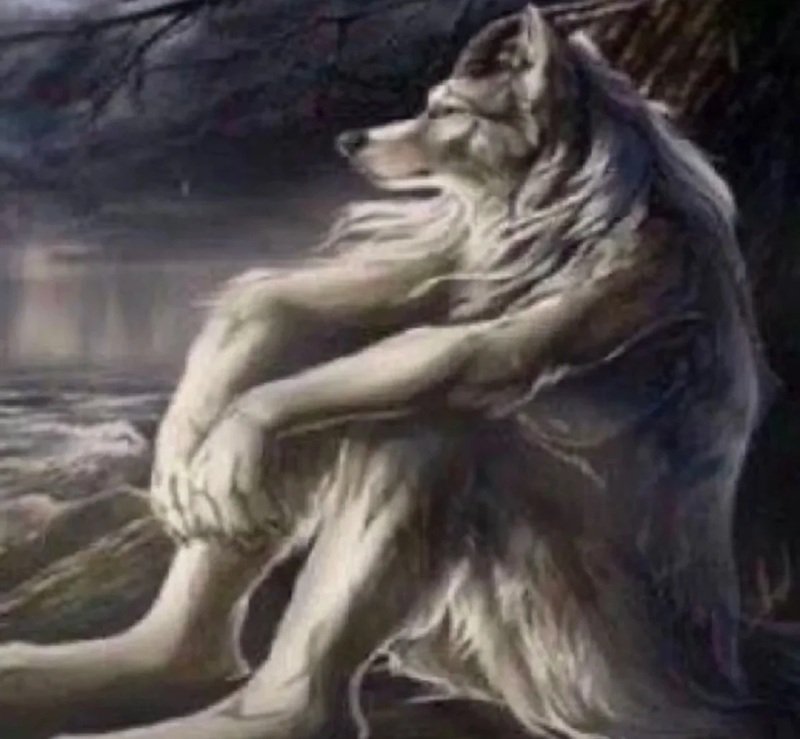 sói cô độc meme 28