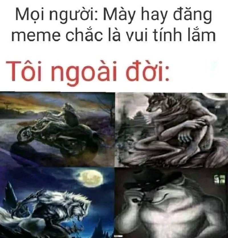 sói cô độc meme 3