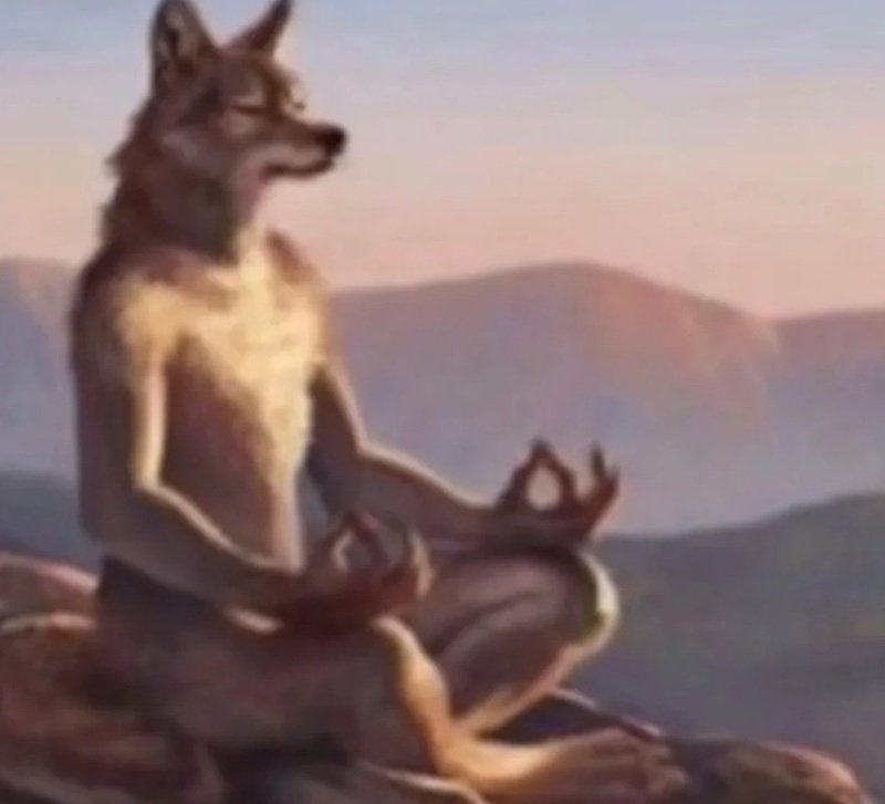 sói cô độc meme 30