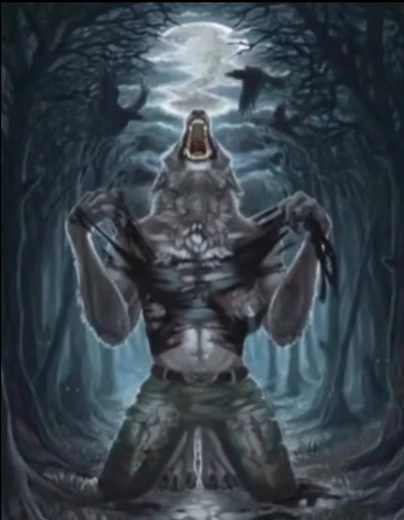 sói cô độc meme 32