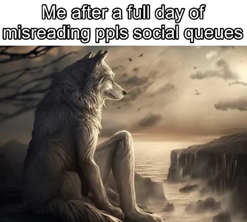 Bộ sưu tập 99+ sói cô độc meme hot nhất – vừa buồn vừa viral