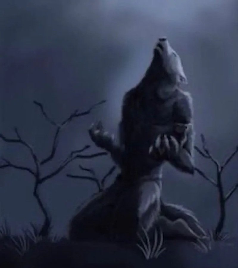 sói cô độc meme 35