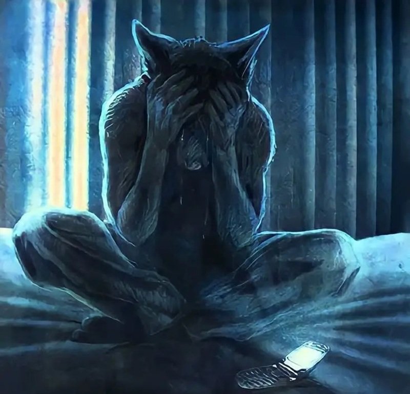 sói cô độc meme 36