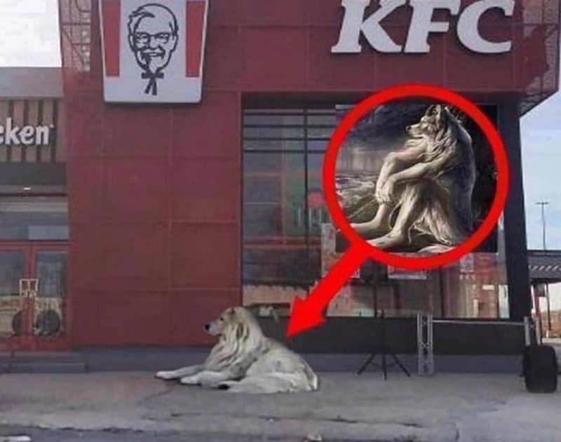 sói cô độc meme 4