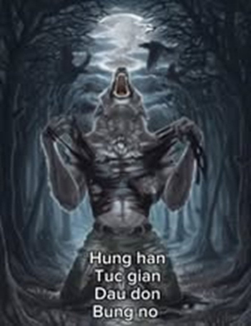 sói cô độc meme 5