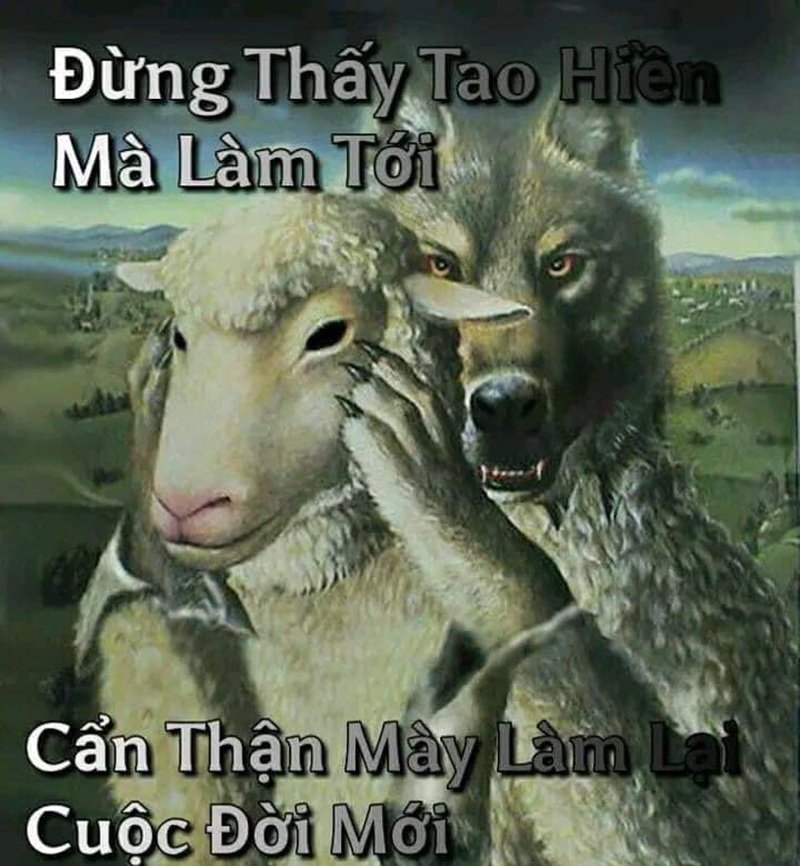 sói cô độc meme 6