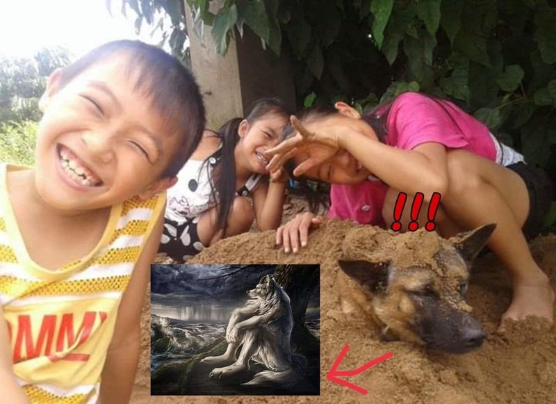 sói cô độc meme 7