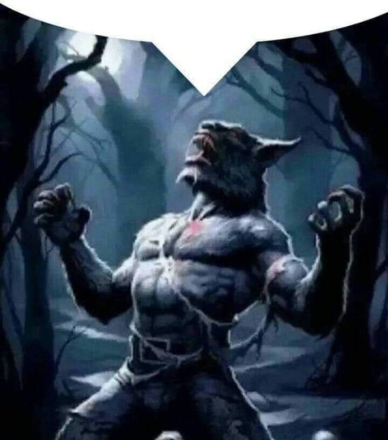 sói cô độc meme 8