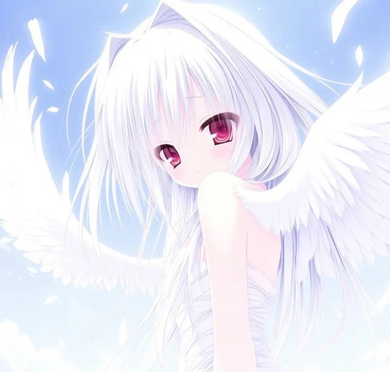 ảnh anime thiên thần​​ 23