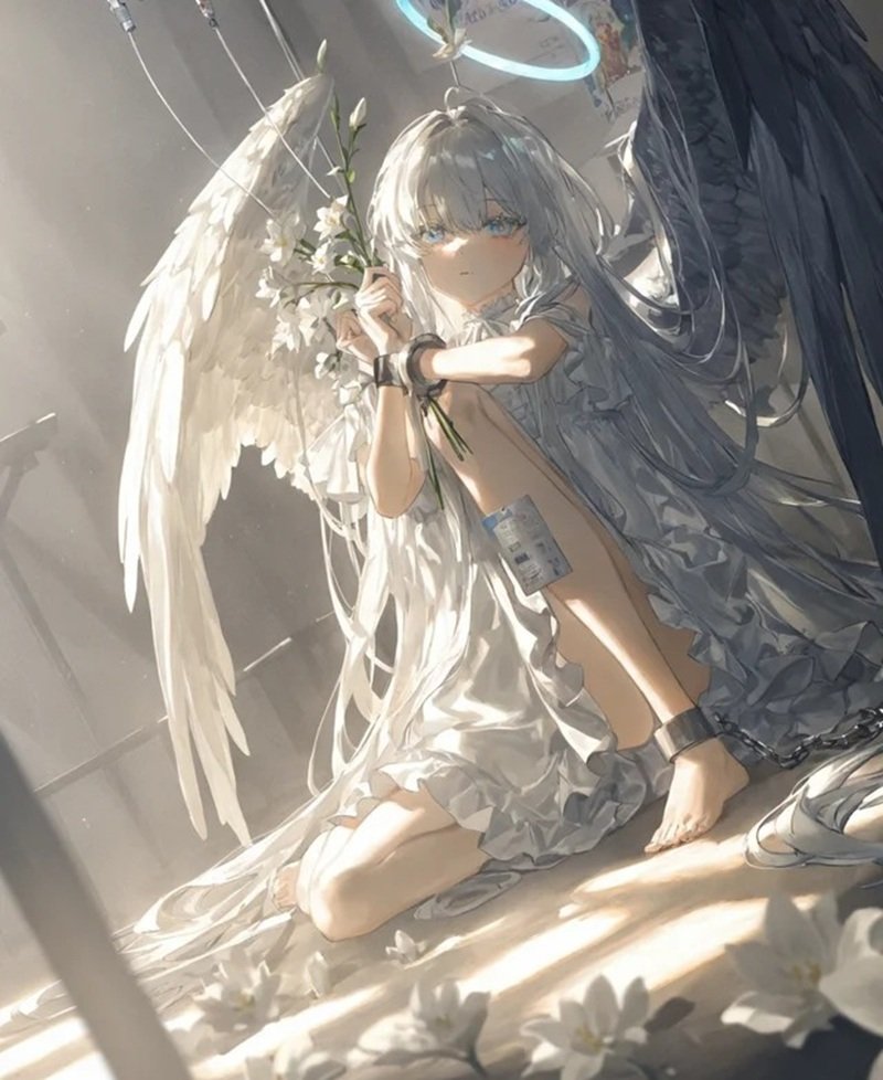 ảnh anime thiên thần​​ 7