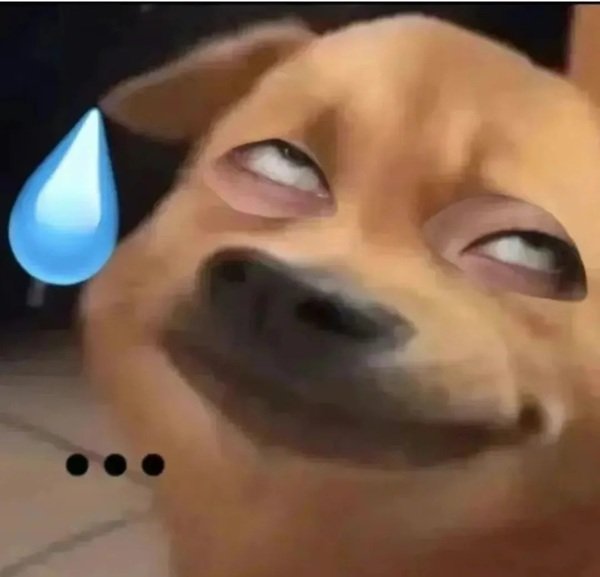 Khoảnh khắc troll nhẹ trong bất lực meme cực vui