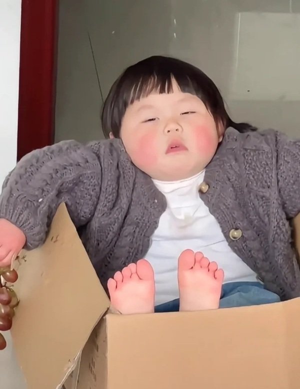 Biểu cảm “chịu luôn” trong bất lực meme vui nhộn