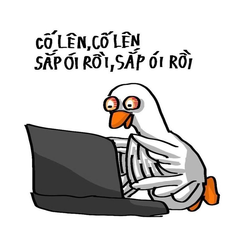 cố lên meme hài hước truyền động lực
