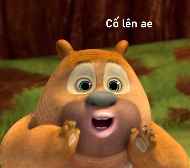 cố lên meme với thông điệp tích cực ý nghĩa