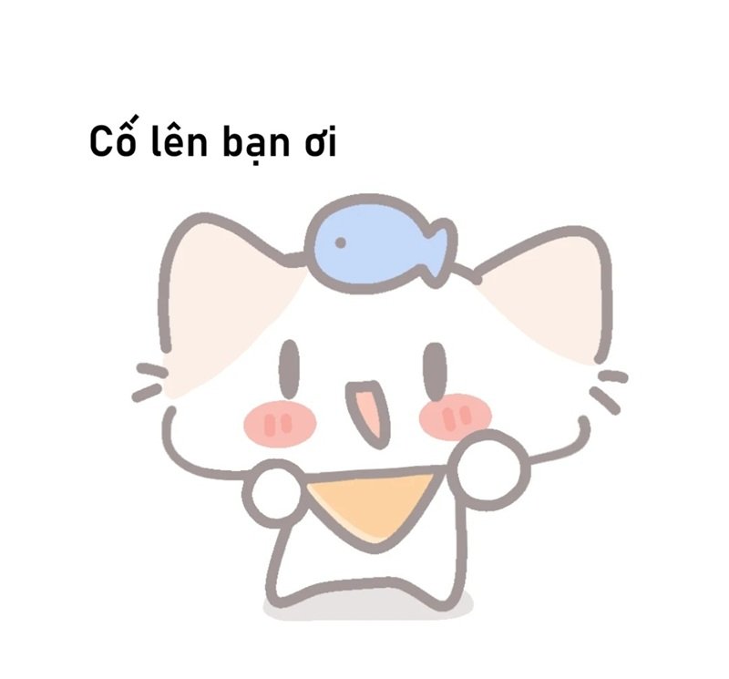 thông điệp vui nhộn qua cố lên meme sáng tạo