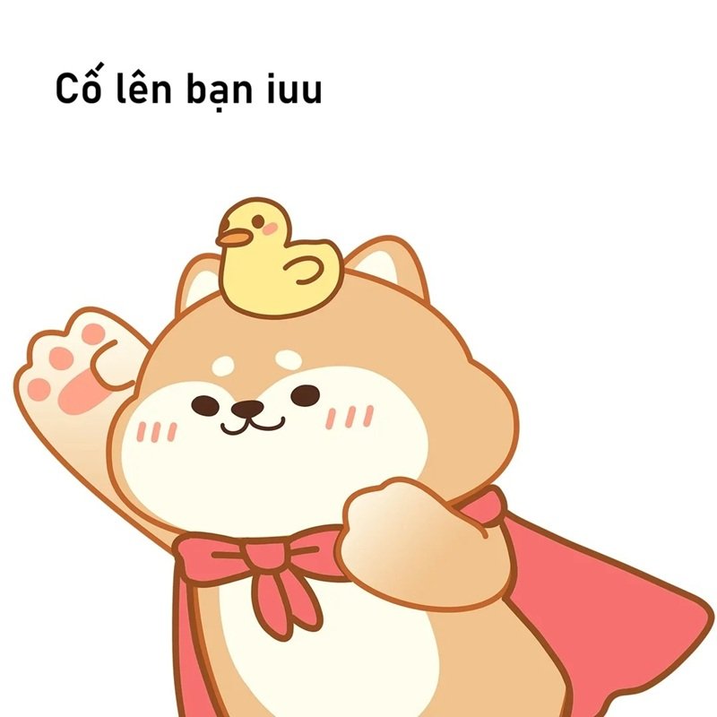 ảnh hài hước cổ vũ tinh thần đáng yêu