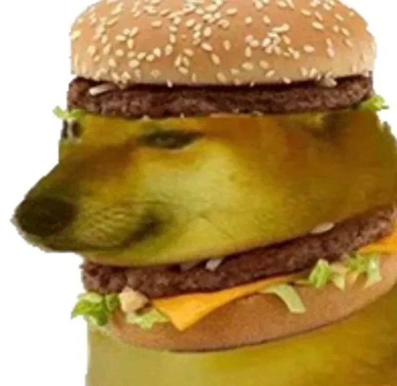 doge meme hài hước với chú chó shiba đáng yêu