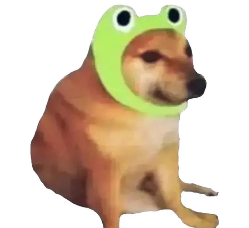 doge meme lan tỏa năng lượng tích cực vui vẻ