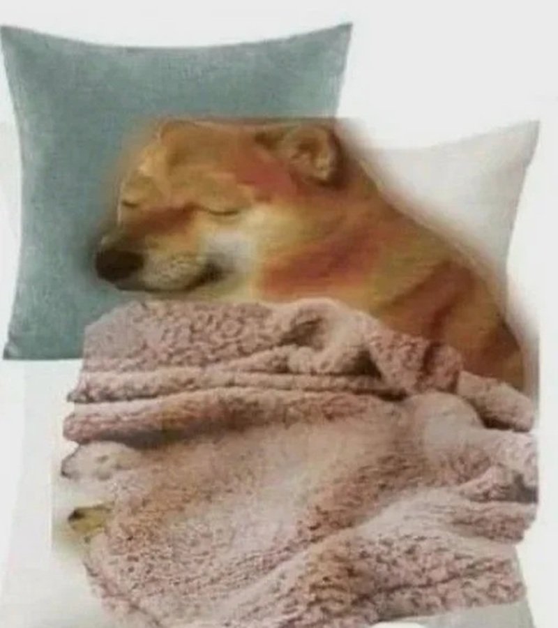 hình ảnh hài hước trong doge meme gây cười