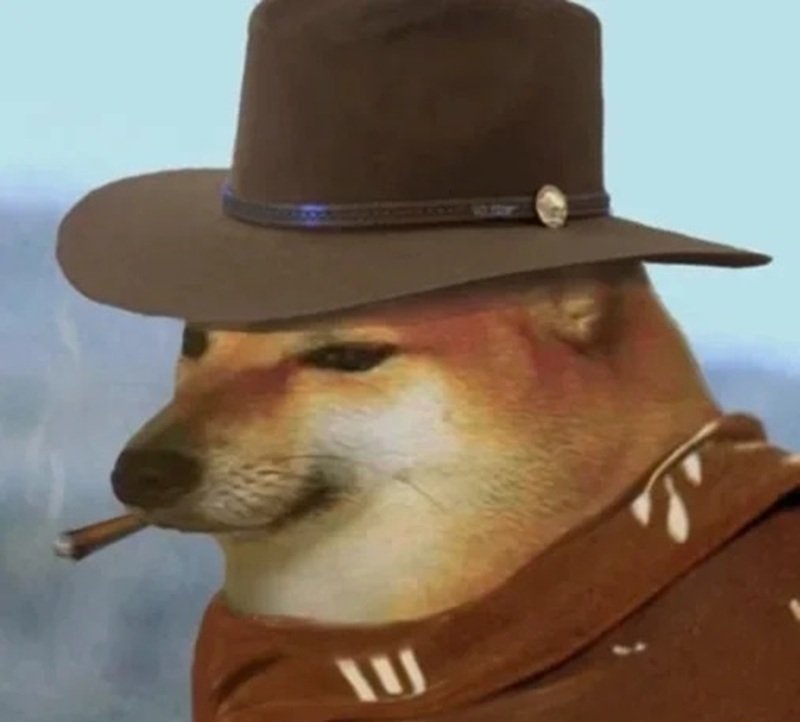 biểu cảm dễ thương của doge meme lan truyền mạng