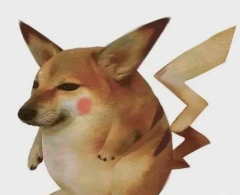 cảm giác vui nhộn khi xem doge meme nổi tiếng