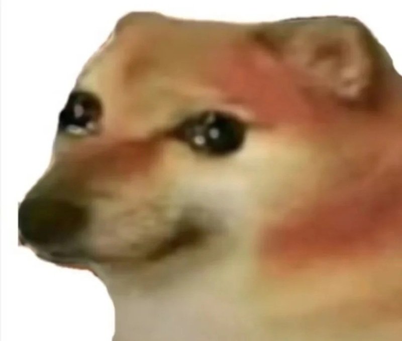 nội dung sáng tạo cùng doge meme cực kỳ thú vị