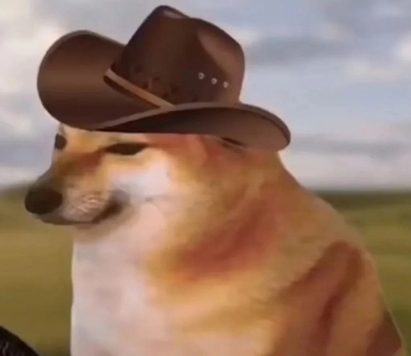 doge meme tạo hiệu ứng lan truyền mạnh trên mạng