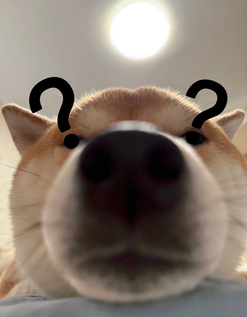 hình ảnh shiba vui nhộn trong doge meme độc đáo