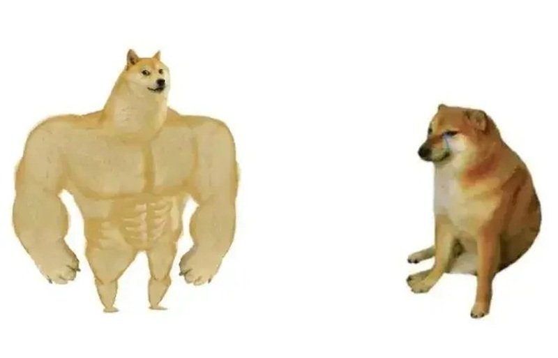 khoảnh khắc đáng yêu với doge meme hài hước