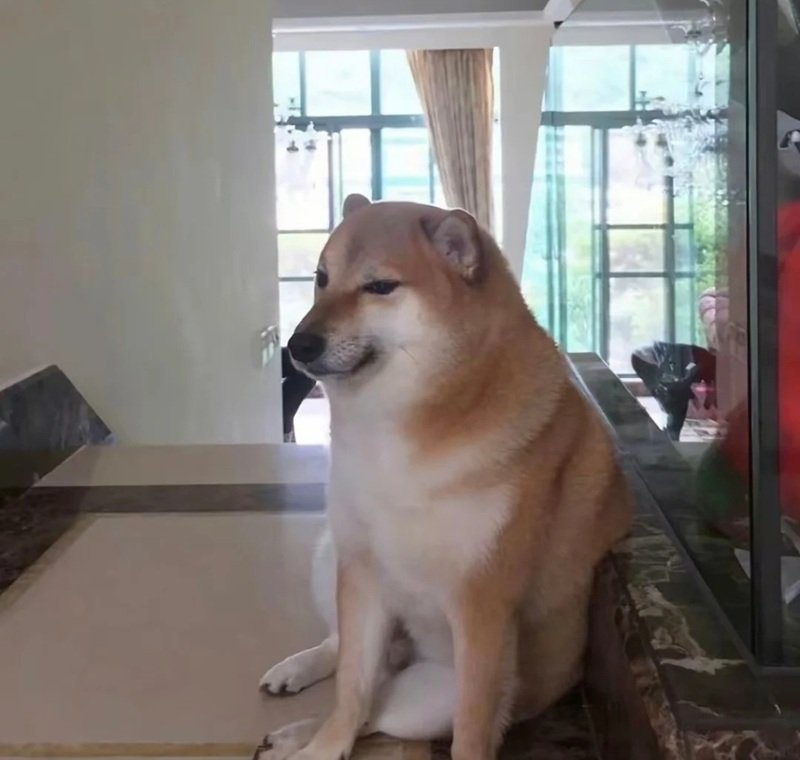 doge meme mang phong cách hài nhẹ nhàng dễ thương
