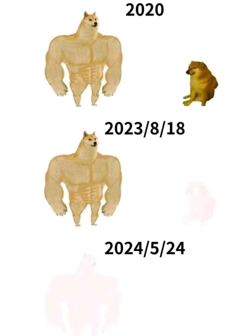 nội dung vui vẻ từ doge meme nổi bật toàn cầu