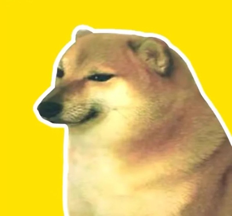 nội dung dễ thương từ doge meme lan truyền rộng