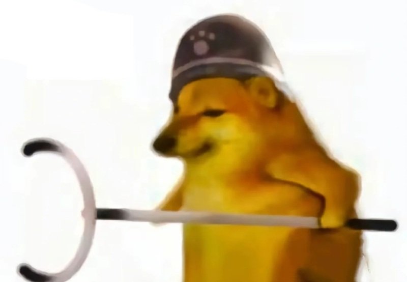 hình ảnh sáng tạo cùng doge meme nổi bật