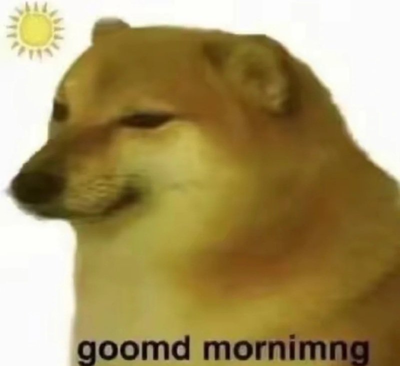 doge meme mang lại trải nghiệm giải trí vui vẻ