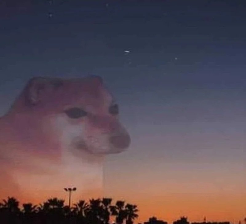 hình ảnh dễ thương với doge meme lan truyền mạnh