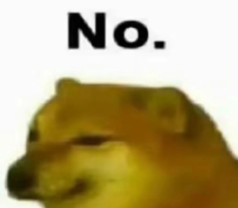 khoảnh khắc hài hước từ doge meme cực kỳ viral