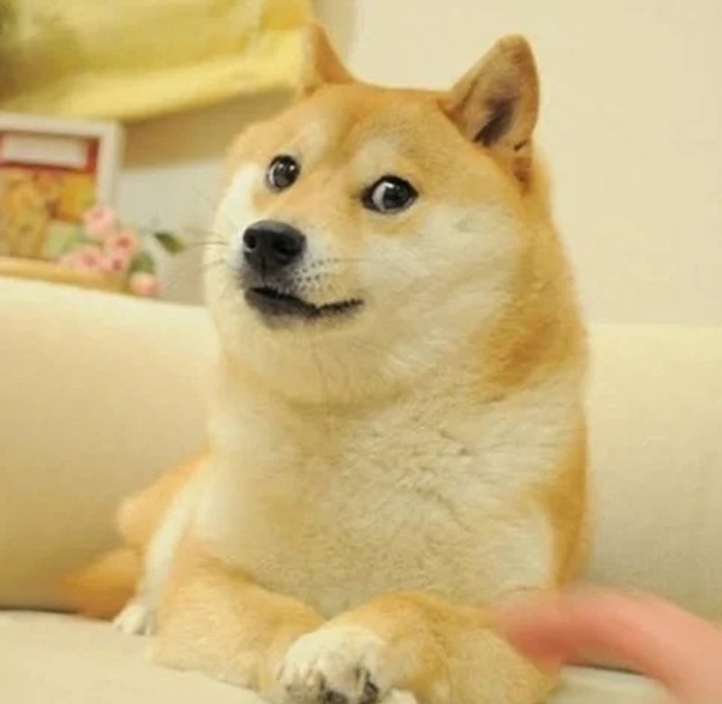 meme chó shiba dễ thương lan truyền mạng