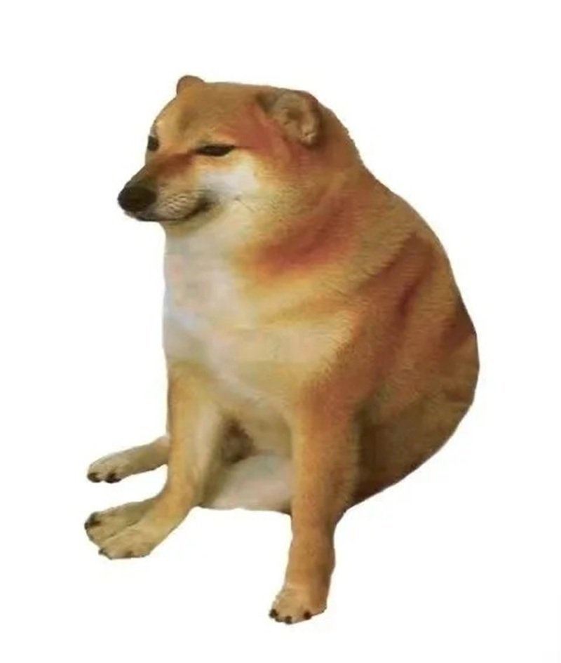 ảnh meme doge nổi tiếng cực hài